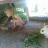 laniebug