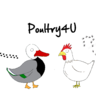 Poultry4U