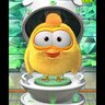 chickchickhere