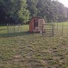 beallfarms