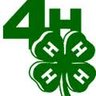 4Hchicken