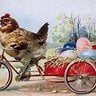 BicycleChickens