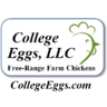 CollegeEggs
