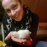 MorrisseyHens
