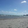 miamichicks