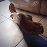 Alhely