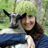 homesteadhoeny