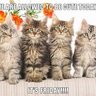 NHRedMom