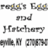 GreggsEggs