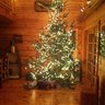 UpNorthPrepper