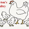 PeytonsPoultry