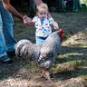 Coggeshall Farm