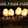 HatchaBatch