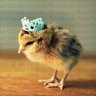 RoyalFeathers
