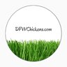 DFWChickens