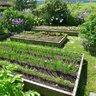 rosemarygardens