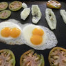 MultiEgg