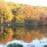 winchesterva