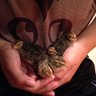 QuailCuddlers