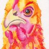 pbgchick