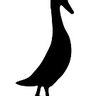 robinsrunners
