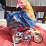Chicken Man 16