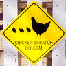 chickenscratchd