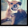 powerzamcam