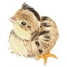 Karmuls Farm