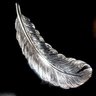 Silver Feather