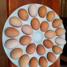 NartkersEggs