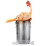 chick1261