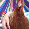 queenpenny