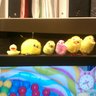 NanasChickies