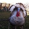 bunchofchix