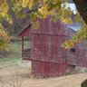 FourSpringsFarm