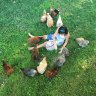ChickieLinds