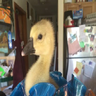 Goose loose