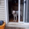 Codysdad