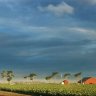FarmerTuck