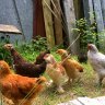 LovejoyHomestead