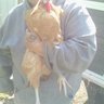 Joann Nelson