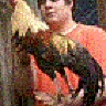 Mikesbirds