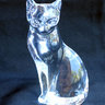 Glass Cat