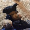 JordanFarm