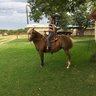 RaeLynne