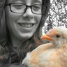 ChickenMamaSue