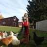 Muthaofchickens