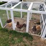 SnohomishFarmsteader