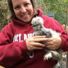 cityfarmchick